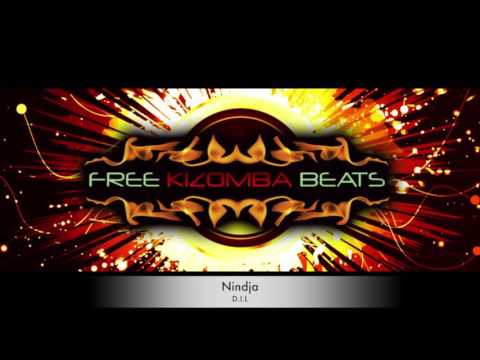 Nindja - D.I.L