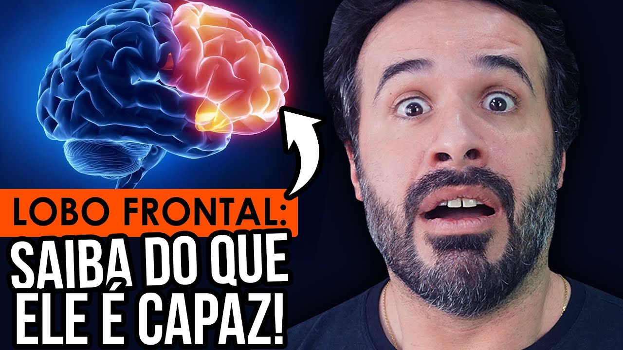 O Que é Lóbulo Em Anatomia O Que é Lóbulo Em Anatomia