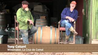 CHOW Tour Austin: Texas Wine