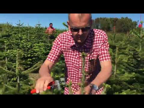 TopStop nipper Lars Geil