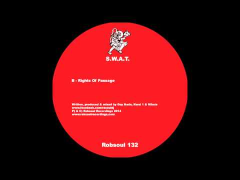 DJ Ra-Soul - True Science (Robsoul)