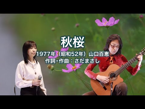 秋桜（コスモス）