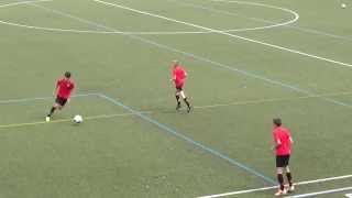 preview picture of video 'FC Thun Berner Oberland - Footeco - technisches Aufwärmen durch Spieler FE14'