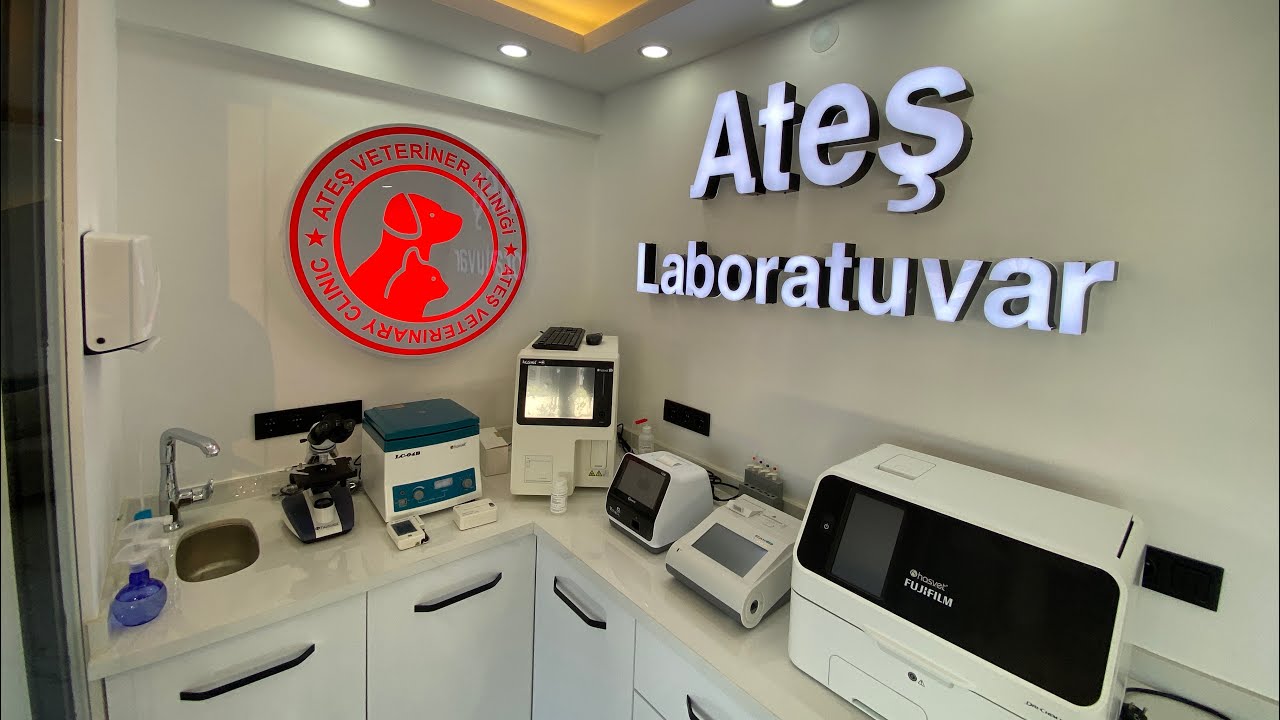 Antalya Ateş veteriner kliniği