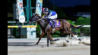 【佐賀競馬】第3回 ネクストスター佐賀（2025.10.13）