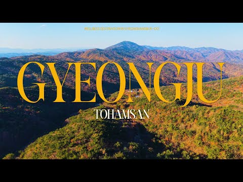 [경북 웰니스 관광지] 