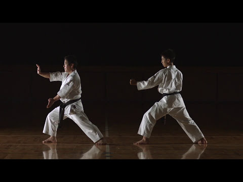 download lagu mp3 mp4 Karate Genseiryu, download lagu Karate Genseiryu gratis, unduh video klip Karate Genseiryu