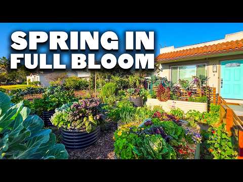 EVERYTHING Growing In My Garden in April