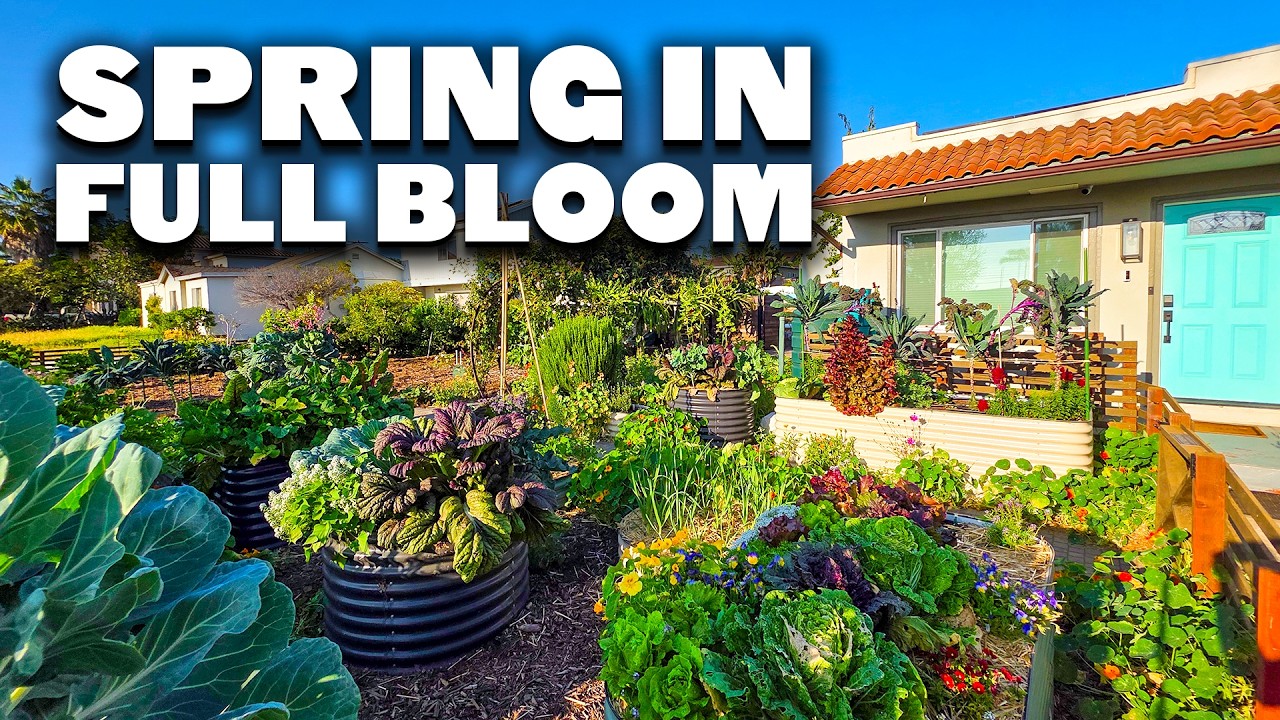 EVERYTHING Growing In My Garden in April