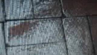 Noah`s Apathy :  More2luv/catch a fallen star