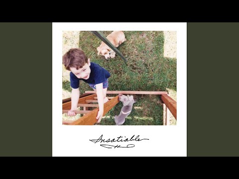 Insatiable - Monstera
