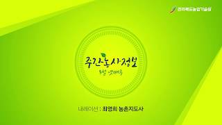 주간농사정보 [ 8월 넷째주 ]