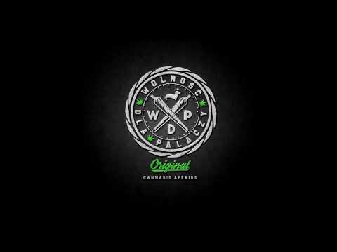 Gizmo WDP - na krawędzi ( bit - Flame Produkcja )