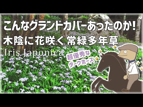 マカランガについて詳しく解説