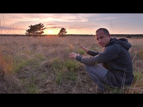 BuitenGewoon 01-11-2016 Veluwezoom