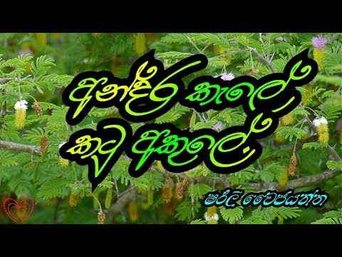 අන්දර කැලේ කටු අකුලේ| Andara kele katu akule| #sihinaya_soya #music #sinhalasongs
