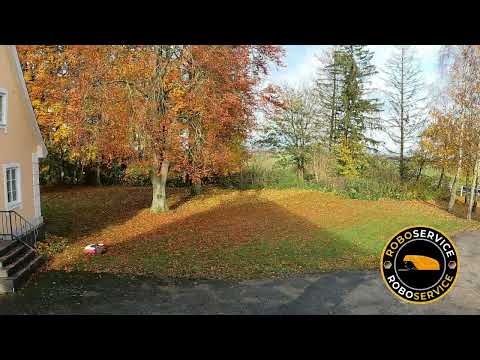 Dubbla Diskar, Dubbel Effekt – Kress RTK 233e i Aktion!