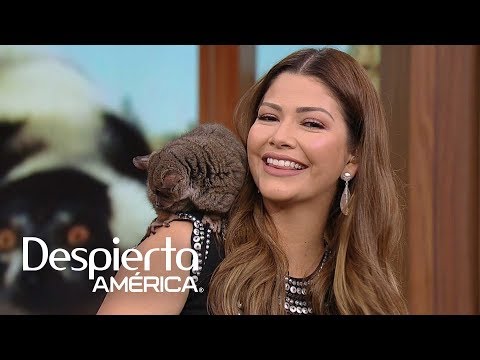 Funny and curious: Ana Patricia lived with these cute little animals