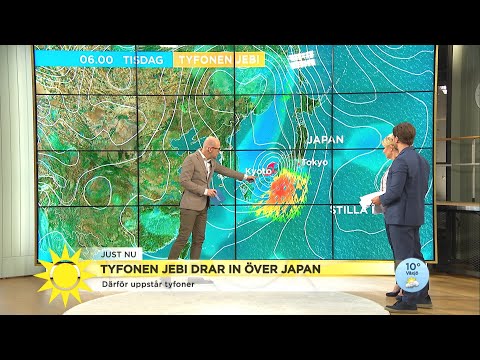 Tyfon drar in över Japan: ”300 000 människor har evakuerats”  - Nyhetsmorgon (TV4)