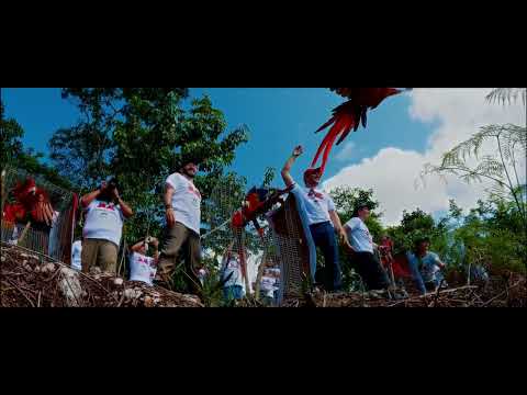 Rescue Endangered Wildlife in Guatemala