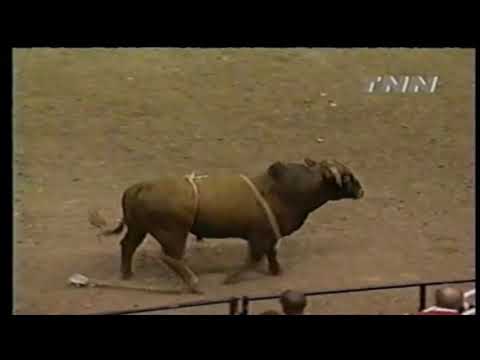 Bubba Dunn vs Justin's Pet - 00 PBR Salt Lake City (86 pts)