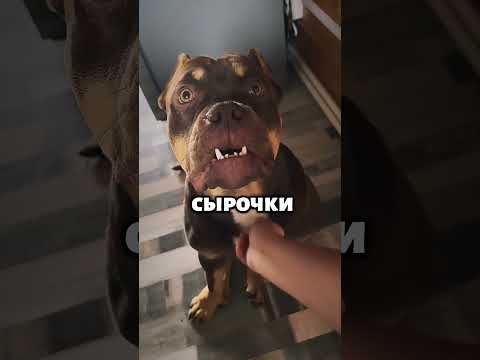 Он понял что для него это не выгодно