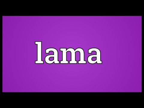 Lama Meaning