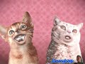 Preview 2 Numa Cat More Effects