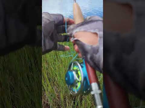 Pesca de truchas en Salcedo - Cotopaxi 