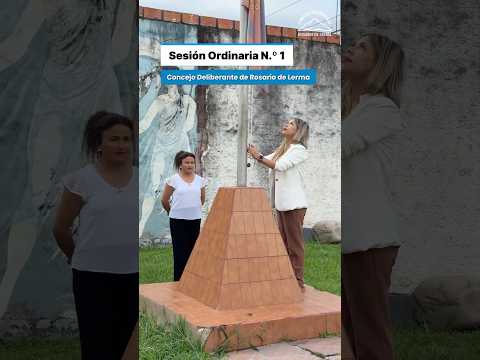 Sesión Ordinaria N 1