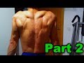 Triceps Workout and Flexing Part 2