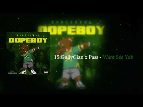 15) Gully Cian x Pass - Want See Yuh