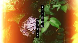 とても素敵な六月でした / Eight (Covered by 瀬戸乃とと)