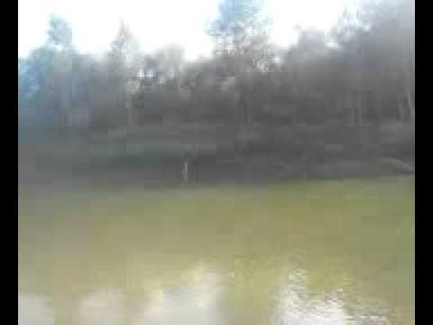 Pascani- siret - SUPRAVIETUITORUL 2