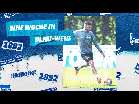Relegation oder Klassenerhalt? Der Showdown! | Borussia Dortmund vs. Hertha BSC | 34. Spieltag