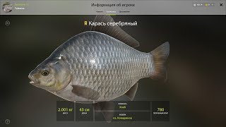 На что ловить карась серебряный озеро