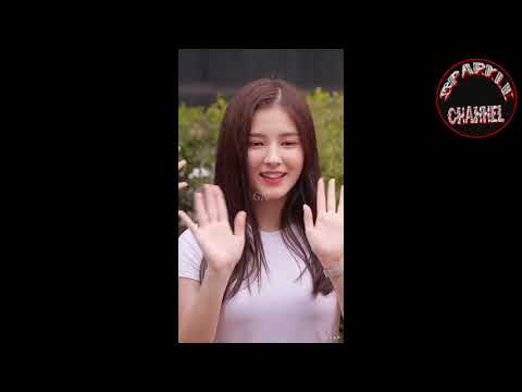 Nancy momoland//cute moments dancing video