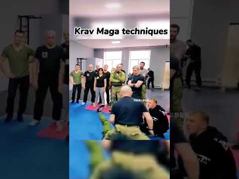 Krav Maga techniques