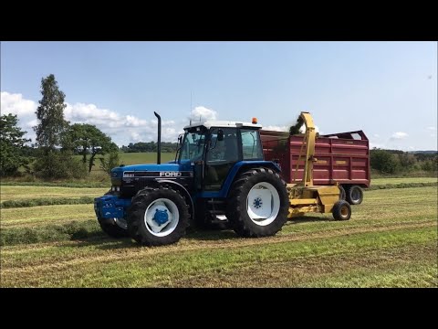 Cumbrian Silage 2021. 2nd cut with NH fleet, trailed/ SP foragers and classic turbo Ford (Part 1)