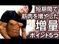 短期間で筋肉を増やしたポイント5つ【増量】筋肉に全振りした伊沢