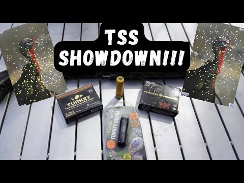 20 Gauge TSS TURKEY ammo REVIEW!!! Apex, Federal, and Nitro company COMPARISON using CARLSON'S CHOKE