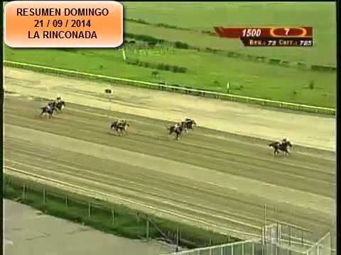 RESUMEN CARRERAS DOMINGO 21 SEPTIEMBRE 2014