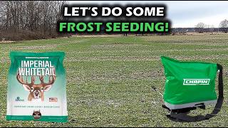 Why I'm Frost Seeding NOW (Clover Into Rye Food Plot)