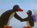 Pingu S02E02 Pingus Admirer