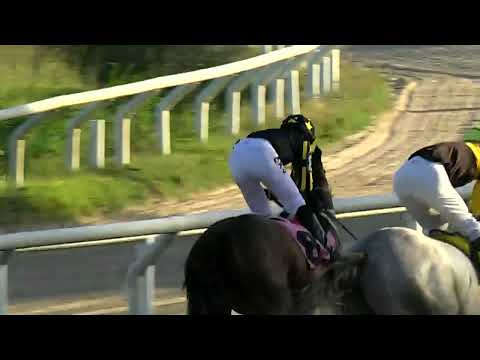 230107 c07 - THE MACHINE - HIPODROMO LAS PIEDRAS