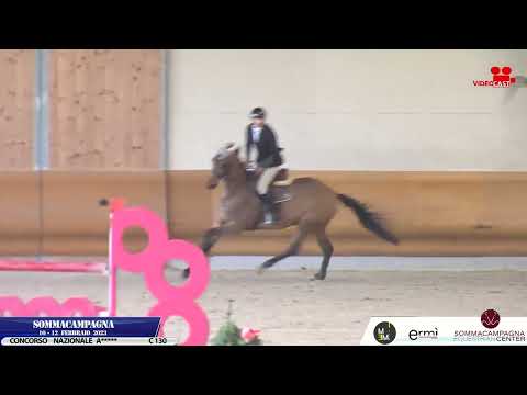 🎖️130 Koos Greenfield 11/02/2023 Sommacampagna