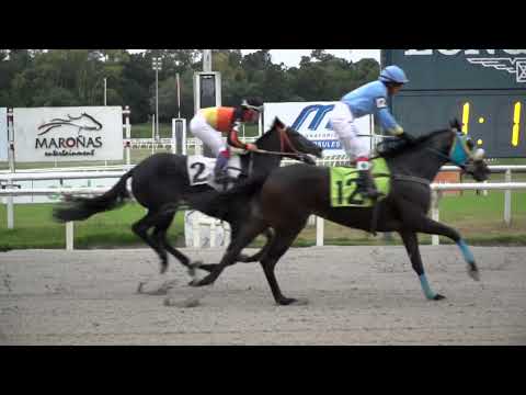 230416 c07 MADAME AVE