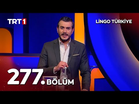Lingo Türkiye 277. Bölüm