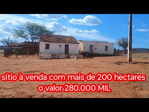 Property for sale: over 200 hectares of land in the Northeast.