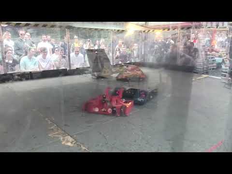 BBB BEVs Bristol 2024: Agamemnon & Weapon Of Choice Vs Crab Grab & Pizza Time